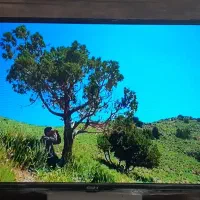 تلویزیون ۳۲ اینچ استار ایکس