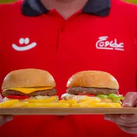 استخدام سالندار