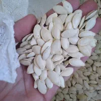 تخمه کدو آجیلی