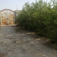 فروش زمین باغشهری مسکونی دهقاعد|فروش زمین و ملک کلنگی|برازجان, |دیوار