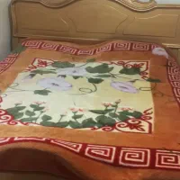 منزل کوتاه مدت|اجارهٔ کوتاه‌مدت آپارتمان و سوئیت|شاهین‌شهر, طالقانی|دیوار