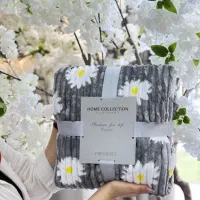 پتو مسافرتی|رختخواب، بالش، پتو|دزفول, |دیوار