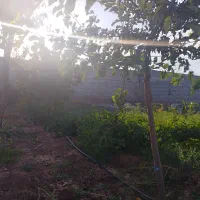 زمین در بیلوردی املاک ولیعصر|فروش زمین و ملک کلنگی|خواجه, |دیوار