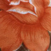 پتو مخملی قهوه ای|رختخواب، بالش، پتو|اهواز, زیتون کارگری|دیوار