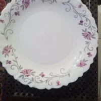 بقاب ارکوپال 12 عدد 800 تومان اتو بخار 700 تومان