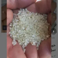 برنج کامفیروزی قیمت ۲۶۰|خوردنی و آشامیدنی|شیراز, شهرک سراج‎|دیوار