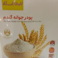 پودر جوانه گندم