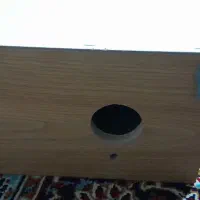 لانه عروس هلندی وطوطی برزیلی