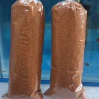 دکپسوله آرتمیا موجود شد