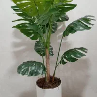 درختچه مصنوعی|گل مصنوعی|بندر کنگان, |دیوار