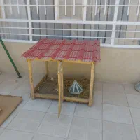 قفس مرغ و خروس