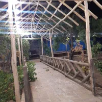 چوب داربست مو تالار انگور باغ ویلا خانه باغ|خدمات باغبانی و درختکاری|کاشان, کارگر|دیوار