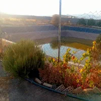 باغ فروشی با امتیازات کامل|فروش خانه و ویلا|فریمان, |دیوار