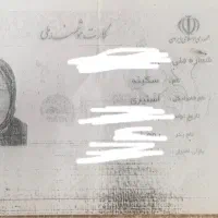 کارت ملی گمشده بنام سکینه استیری
