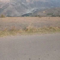 فروش پنج هزار متر زمین زراعی سند دار|فروش زمین و ملک کلنگی|رودبار, |دیوار