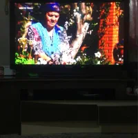 تلویزیون ۵۵|تلویزیون و پروژکتور|شهریار, شهریار|دیوار