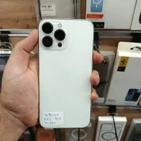 13 pro max
