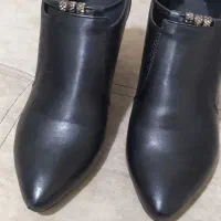 بدلیجات رنگ ثابت|کیف، کفش، کمربند|آذرشهر, |دیوار