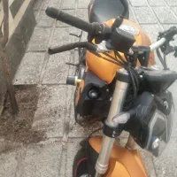 بنلی 300طلایی