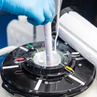 اسپرم گاو و تلیسه|حیوانات مزرعه|مرودشت, فاز اول شهرک فرهنگیان|دیوار