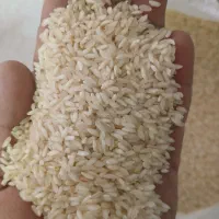 برنج چمپا درجه باغملک|عمده‌فروشی|باغ ملک, |دیوار