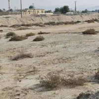 یک زمین‌۱۰۰۰متری در‌ قشم روستای‌منصور‌آباد