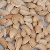 فروش بادام
