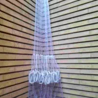 تورماهیگیری|ماهیگیری|بوشهر, |دیوار