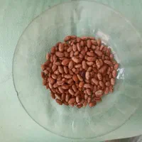 پخش عمده وخرده حبوبات با قیمتهای مناسب|عمدهفروشی|پاکدشت, خاتون آباد|دیوار