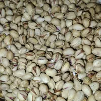 پسته فندقی رفسنجان