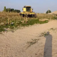 کمباین نیوهلند برداشت ذرت