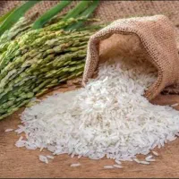 برنج هاشمی درجه ۱