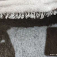 پروژکتور..  موکت|تلویزیون و پروژکتور|کرج, کوی زنبق|دیوار