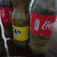 برگ مو|خوردنی و آشامیدنی|نوشین شهر, |دیوار