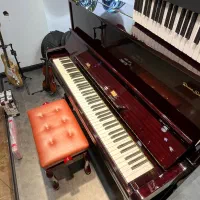 فروش انواع پیانو آکوستیک و دیجیتال|پیانو، کیبورد، آکاردئون|تهران, پونک|دیوار