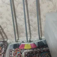 جارودسته دار