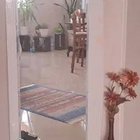 جاکفشی و آینه قدی