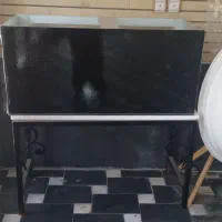 آکواریوم|ماهی|کاشان, قطب راوندی|دیوار