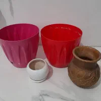 گل وگلدان|گل و گیاه طبیعی|اسلامشهر, ایرین|دیوار