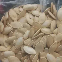 تخمه کدو|خوردنی و آشامیدنی|شیراز, ده پیاله|دیوار