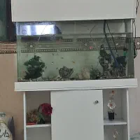 فروش اکواریوم
