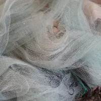 وینچ تور|قایق و سایر وسایل نقلیه|بندر دیر, |دیوار