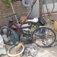 دوچرخه ۲۶|دوچرخه، اسکیت، اسکوتر|سبزوار, قصبه شرقی|دیوار