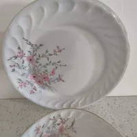 ظروف چینی قدیمی البرز و گل عروس