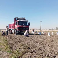 تک باری 1929هشت سلند 130مدل74