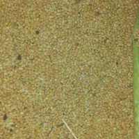 ارزن|لوازم جانبی حیوانات|یزد, |دیوار