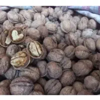 گردو|خوردنی و آشامیدنی|مشهد, تبادکان|دیوار
