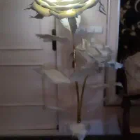 رز سالنی|صنایع دستی و سایر لوازم تزئینی|بروجرد, |دیوار