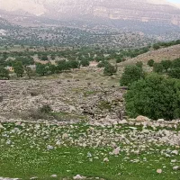 فروش زمین