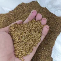 ۱تن بذر یونجه بوجاری شده درجه یک همدان|خوردنی و آشامیدنی|تهران, مخصوص|دیوار